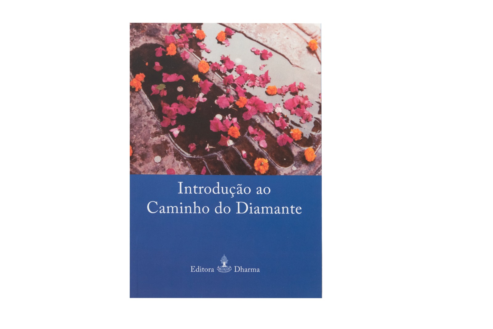 Introdução Ao Caminho do Diamante