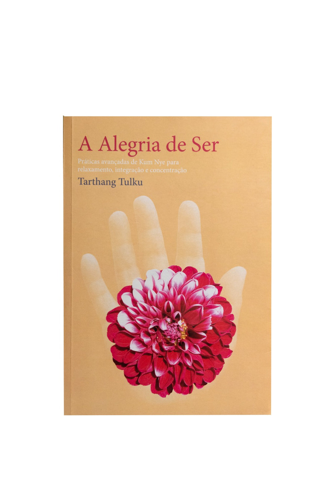 A ALEGRIA DE SER